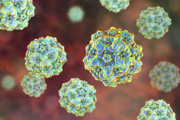 La France confrontée à une épidémie de Parvovirus B19 : Ce que vous devez savoir